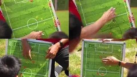 邓丽欣力挺王子：他堪称典范的正派青年