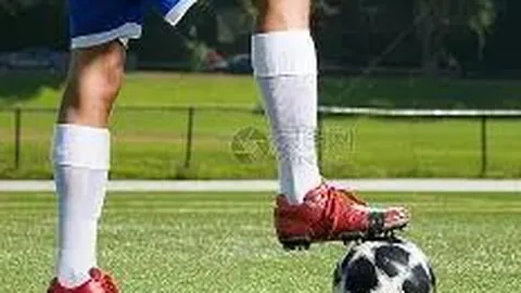 杏彩娱乐 产品 075523 oys