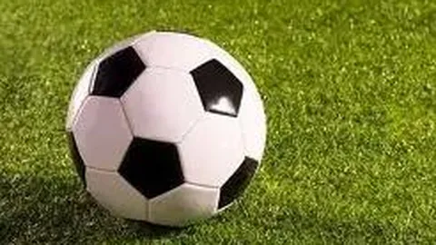 杏彩娱乐 资讯 140957 fn6