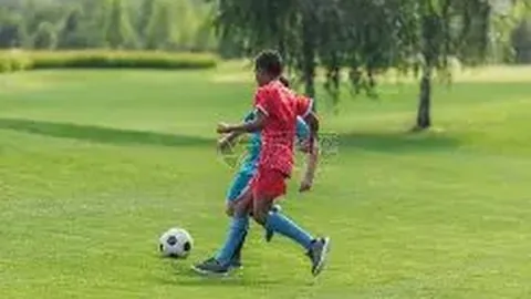 杏彩娱乐 产品 141006 cmp