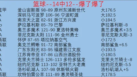 诺维利诺：帕拉蒂奇被誉为“小马洛塔”，是米兰总监梦寐以求的搭档。